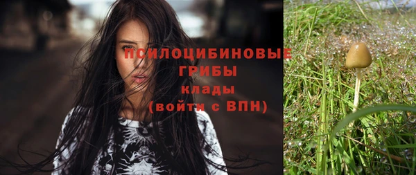каннабис Гусев